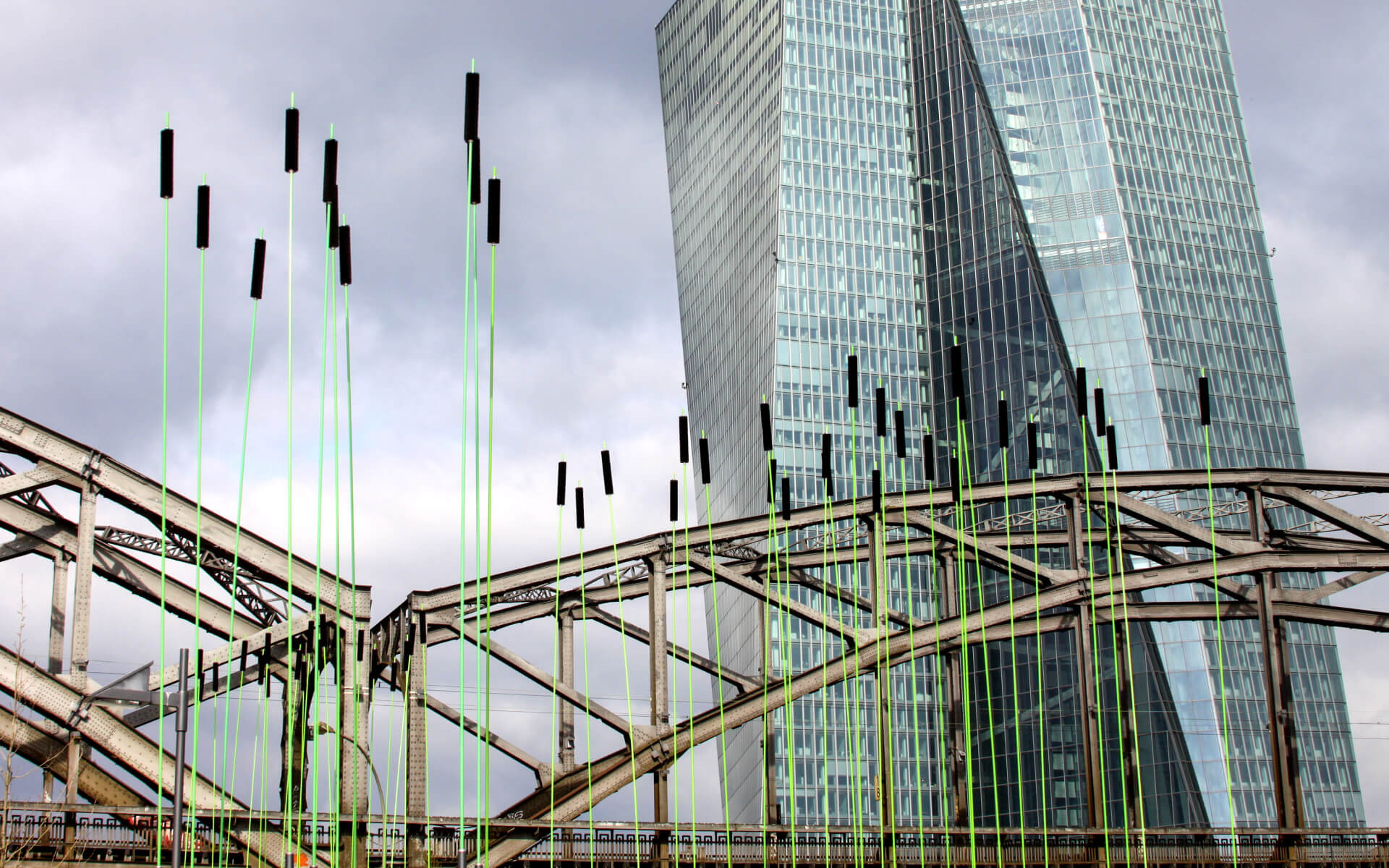Windhalme / Klimaroute Rhein-Main / Europäische Zentralbank